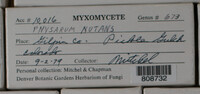 Image Associated With the Occurence